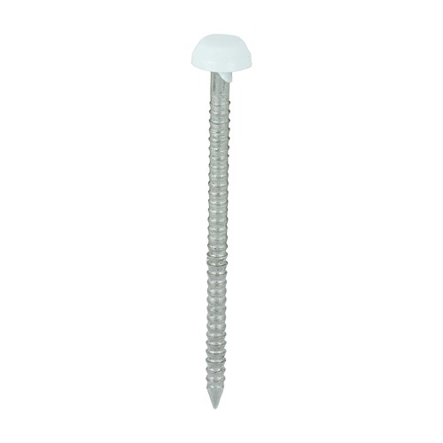 Impact and UV resistant A4 Stainless Steel polymer headed nails. Used for fixing soffits, fascias, roofline trims and where other aesthetic fixings are required.
