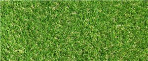 Make every day seem like the first day of spring with our vibrant Exbury Bright Artificial Grass. With a dense thatched construction, deep pile and fresh-looking fibres, this is the perfect choice for a high-traffic, family garden.