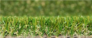 All of our products are suitable for dogs however if you are worried about the additional maintenance we can now supply you with Barking Artificial Grass. Barking has a PU backing which is less absorbent than our traditional latex grasses. Its W shaped yarn also increases durability to withstand high usage.
