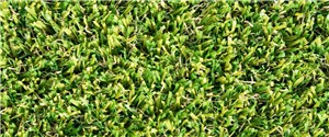 All of our products are suitable for dogs however if you are worried about the additional maintenance we can now supply you with Barking Artificial Grass. Barking has a PU backing which is less absorbent than our traditional latex grasses. Its W shaped yarn also increases durability to withstand high usage.