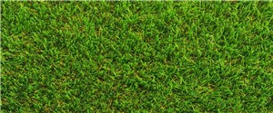 With its luscious 38mm pile height Serenity is one of our most realistic-looking products.  It also benefits from our super soft fibres and hard-wearing thatch, making it perfect for the luxurious family garden.