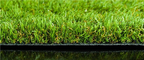Want a grass that can make a bold impression? Solis can do just that. Its soft and dense profile isn’t just appealing to the eye but also offers extreme durability making it a firm favourite for any garden