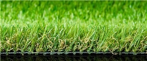 Want a grass that can make a bold impression? Solis can do just that. Its soft and dense profile isn’t just appealing to the eye but also offers extreme durability making it a firm favourite for any garden