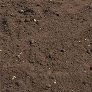 Bulk Bag Grade A Topsoil is our most premium and best quality soil, typically used for landscaping and garden beds.