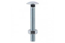 M10x100mm Bolt & Nut (24)