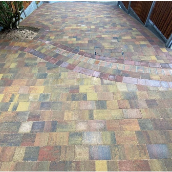 Autumn Mix Aged Effect Setts